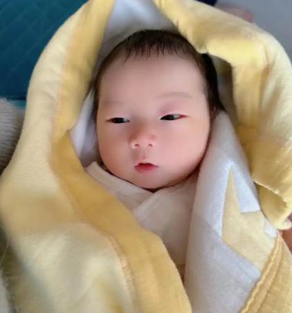 供卵自怀成功案例